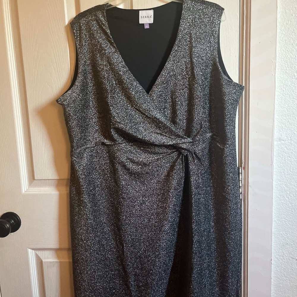 Silver sparkle dress.